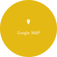 googleMAP